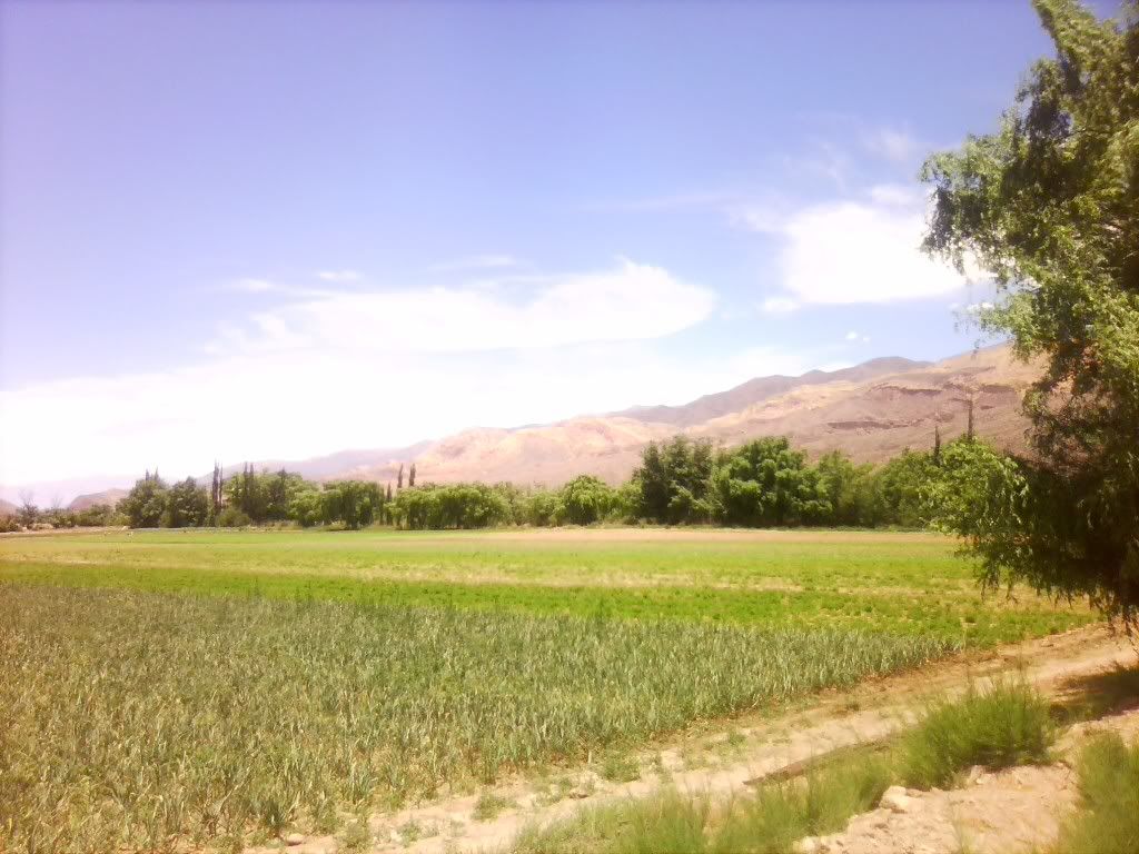 fotos fotos