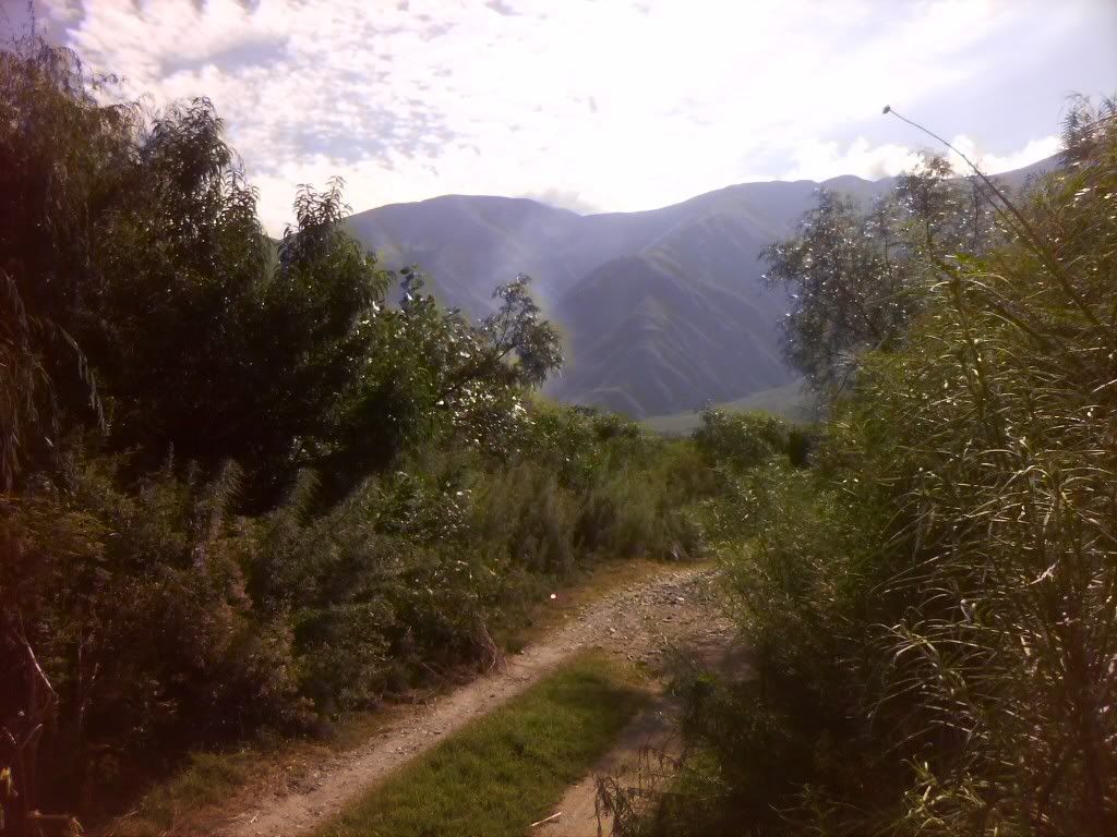 Jujuy (Fotos Propias) Jujuy (Fotos Propias)