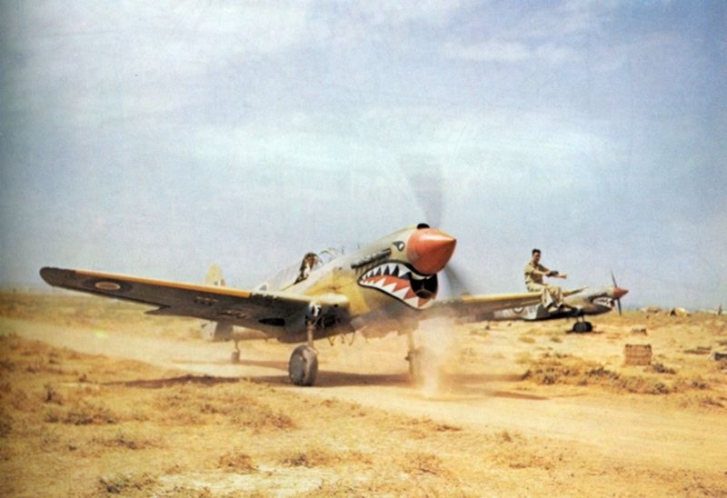 Curtiss P-40 Warhawk [Caza] - La Segunda Guerra