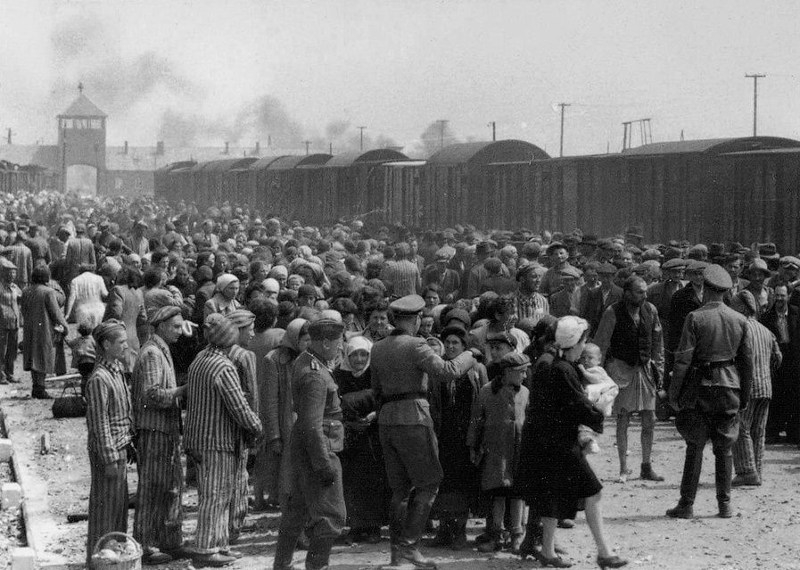 Selección de Judíos Húngaros en el Campo de Concentración de Auschwitz-II