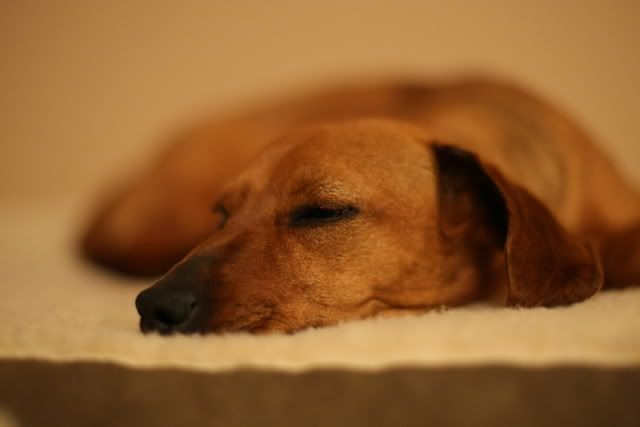 IMAGE: http://i864.photobucket.com/albums/ab204/simonchan/IMG_0943.jpg