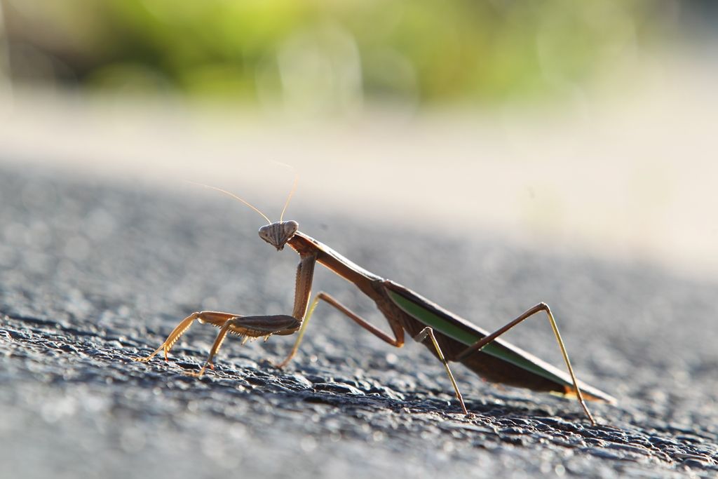 IMAGE: http://i864.photobucket.com/albums/ab204/simonchan/Sample_1.jpg