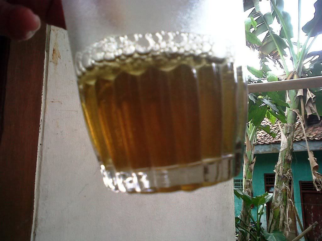 IMG00272-20110130-1439.jpg