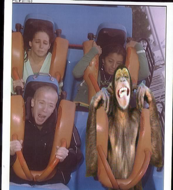 roller coaster horror photo: roller coaster rollamonkeyhair.jpg