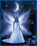 winter dreams fairy Pictures, Images and Photos