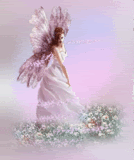 fairy-2.gif