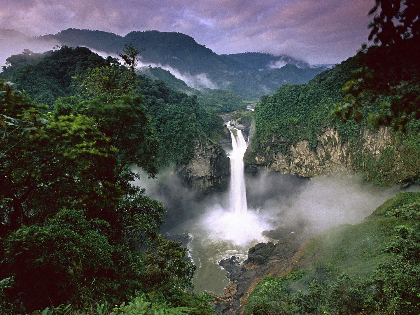 amazon-rainforest_zps05921293.jpg