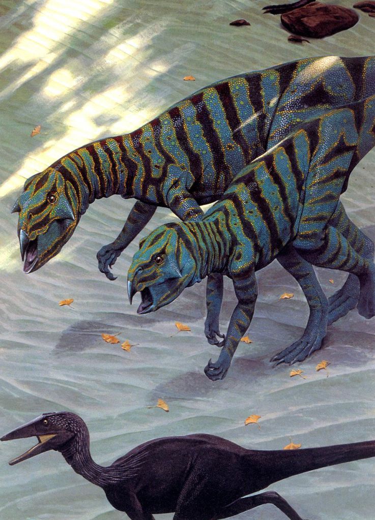 wbpsittacosaurs-and-sinornithoides-copy_zpspksascmq.jpg