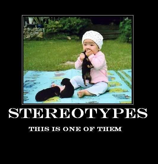 [Image: Stereotypes.jpg]