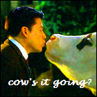 trekbbs_cowsitgoing.png