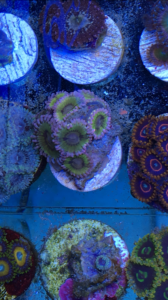 B488C4F3-754F-4E2E-A202-E331AC09D36C.png
