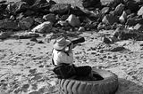 A photographer