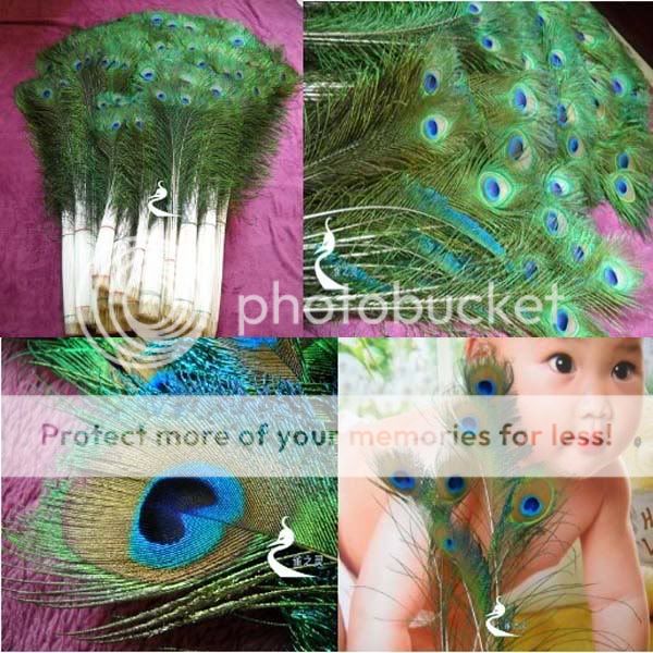 Natural Real Peacock Feather Tail Eye 10 12 inch for Costume Mask Wedding Decor