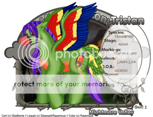 User Image
