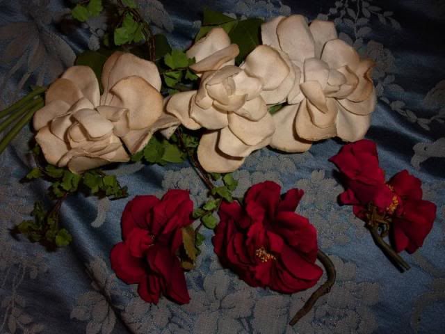  photo 128_0527_zpsb4cbccbd.jpg