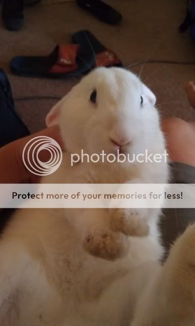 Photobucket