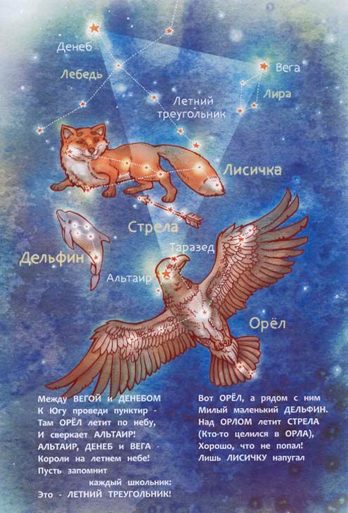 photo Tennova_1.jpg