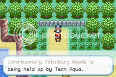 Pokemon Furious Flames - Fire Red Hack!