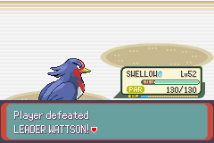 [PokeCommunity.com] 3rd Generation Solo Run!