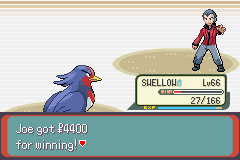 [PokeCommunity.com] 3rd Generation Solo Run!