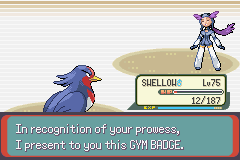 [PokeCommunity.com] 3rd Generation Solo Run!