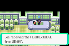 [PokeCommunity.com] 3rd Generation Solo Run!