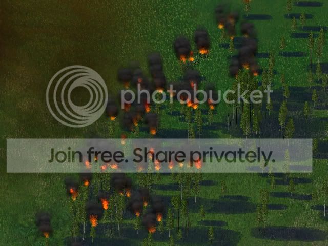 Forestfire-1.jpg